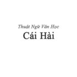 Cái hài