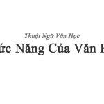 Chức năng của văn học