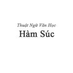 Hàm súc
