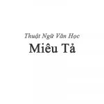 Miêu tả