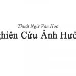 Nghiên cứu ảnh hưởng