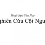 Nghiên cứu cội nguồn