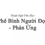Phê bình người đọc – phản ứng