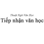 Tiếp nhận văn học