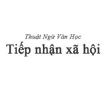 Tiếp nhận xã hội