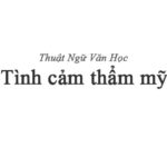 Tình cảm thẩm mỹ
