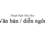 Văn bản / diễn ngôn