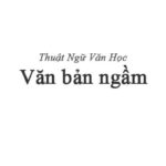 Văn bản ngầm