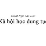 Xã hội học dung tục